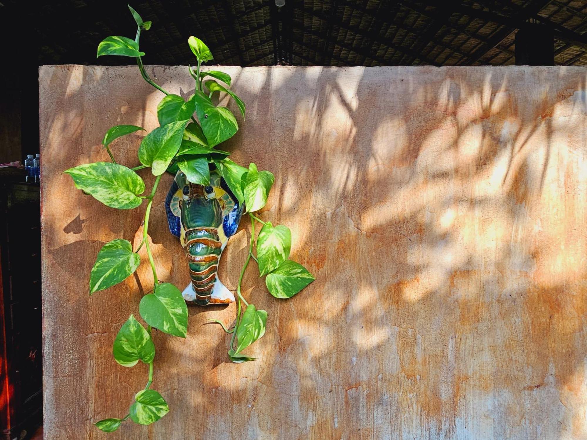 Ba Danh Homestay & Kitchen - Ben Tre Mekong Luaran gambar