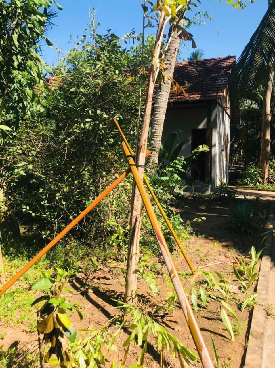 Ba Danh Homestay & Kitchen - Ben Tre Mekong Luaran gambar