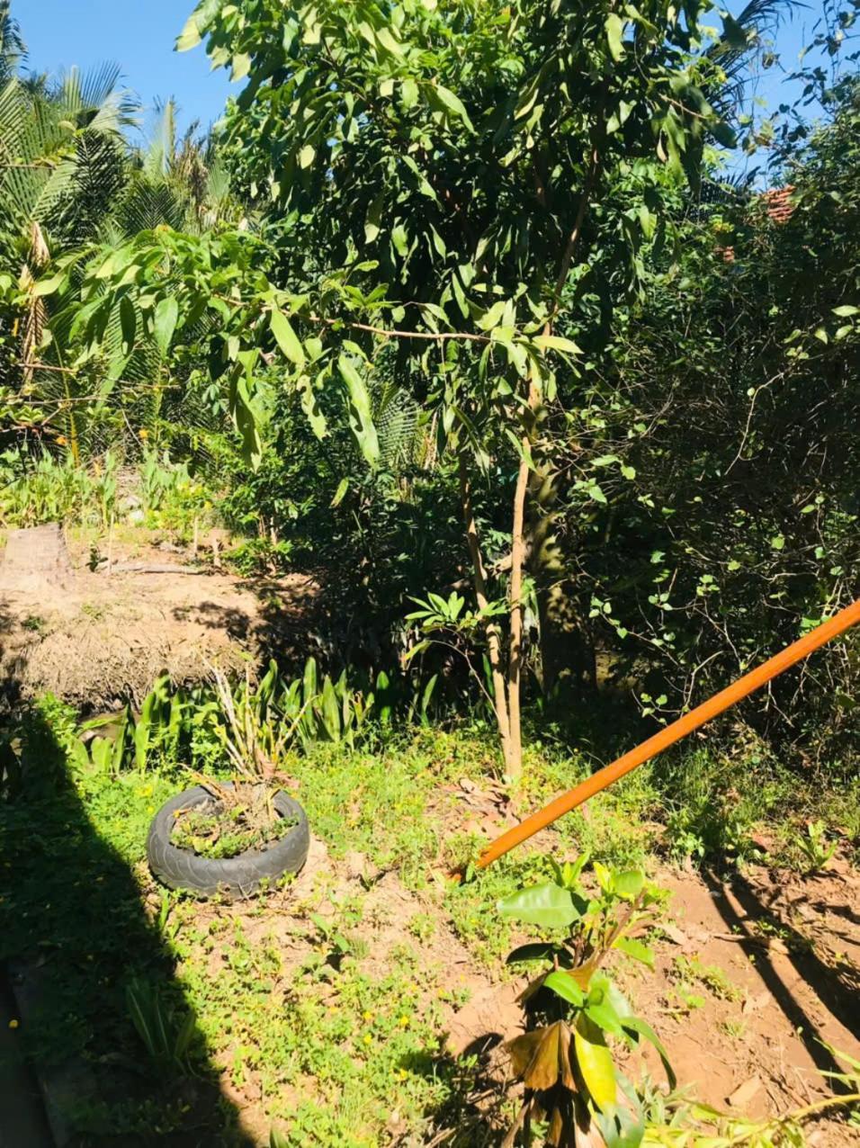 Ba Danh Homestay & Kitchen - Ben Tre Mekong Luaran gambar